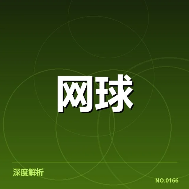 已确认参赛数据与赛程安排